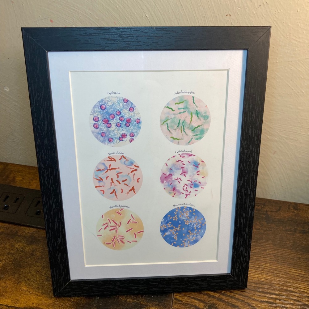 Framed Bacteria Microbiology Art Print Gastrointestinal Science Decor Signed Mai
